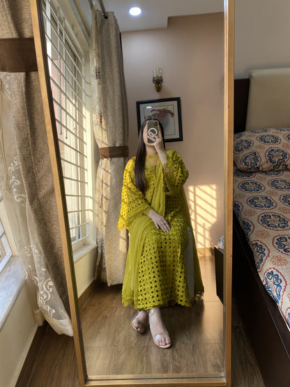 Olive Mist WW-75